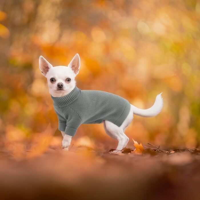 Теплий зимовий пуловер для собак маленьких та середніх порід, з коміром-горловиною. Підходить для Чихуахуа, Такси, Французького бульдога та інших. Колір: сірий, розмір M