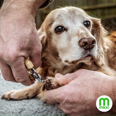 Ножиці для грумінгу собак та котів Mikki бамбукові з безпечним стопором, мікрозубчасті
