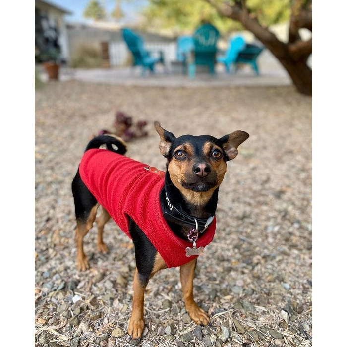 Тепла жилетка Gooby для маленьких собак, фліс, червоний, розмір Large
