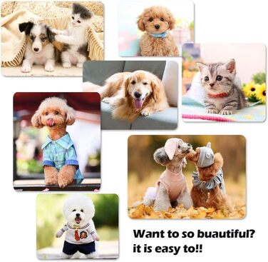 Ножиці для грумінгу собак та котів, професійні ножиці для догляду за шерстю, нержавіюча сталь