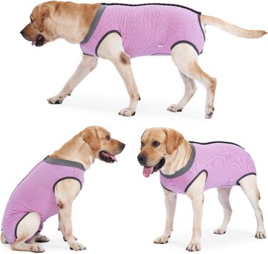 Захисний костюм для собак після кастрації Heywean, рожевий, XL. Медичний одяг для собак після операції, рожевий, XL