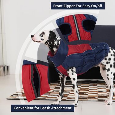 Зимові куртки та манто для собак IECOii: тепла, вітро- та водонепроникна модель, зелений, M (військово-зелений), блакитний