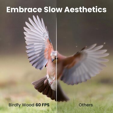 Розумна годівниця для птахів Birdfy з камерою 1080P, сонячною панеллю та ШІ-розпізнаванням 6000+ видів птахів, водонепроникна дерев'яна годівниця з App Live-переглядом