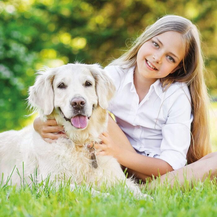 Будка для собак Zooprinz Bella - водовідштовхуюча, з масивного дерева, для вулиці, екологічна фарба, 3 розміри (XL)