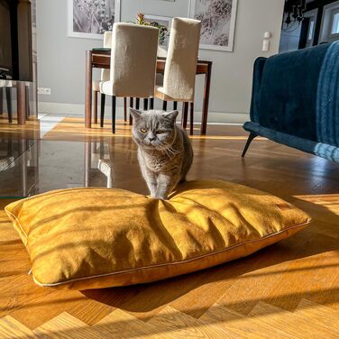 М'яке ліжко для собак середнього розміру, велюрова подушка для собак, 80x50x8 см, зелений колір