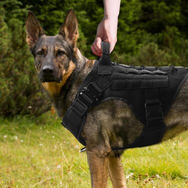 Собачий шлея для великих собак APKOL, тактичний жилет із MOLLE, металевою пряжкою, дихаючий, регульований, міцний, для великих і середніх собак