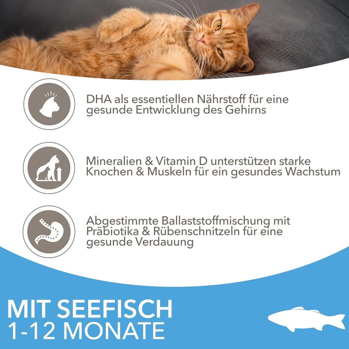 Сухий корм для кошенят IAMS з морською рибою, для віку від 1 до 12 місяців, 3 кг