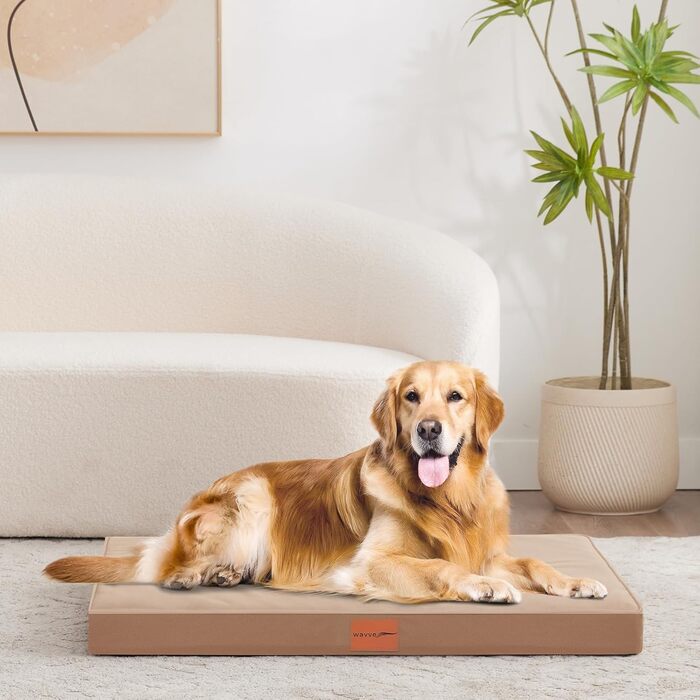 Ортопедичне ліжко для собак WAVVE, диван для собак середніх порід, з піною типу 