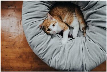 Крізьоке ліжко для домашніх тварин HUNTER Miranda, сірий, 50x50 см, для собак та котів