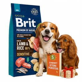 Сухий корм Brit Premium by Nature Sensitive, ягня з рисом, 15 кг