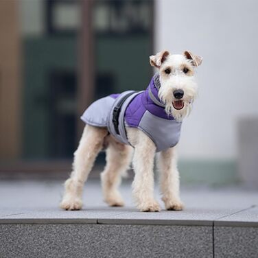 Водонепроникний жилет для собак, теплий, з високим коміром, зелений (S, фіолетовий)