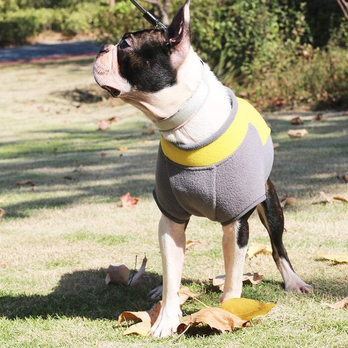 Жакета для собак з напівблискавкою, теплий зимовий пуловер/мантель для маленьких собак та цуценят, жовтий