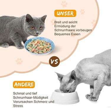 Набори мисок для котів з кераміки Katzennäpfe - 6 шт. Миски для корму котів, широкі та плоскі, місткістю 250 мл, білий колір, стиль мінімалізм, безпечні для мікрохвильовки та мийки