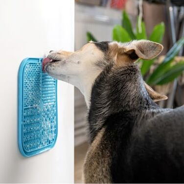 Лежак-іграшка для собак та котів BoneItUp - Slow Feeder, BPA-Free, для здорового травлення та чищення зубів, блакитний