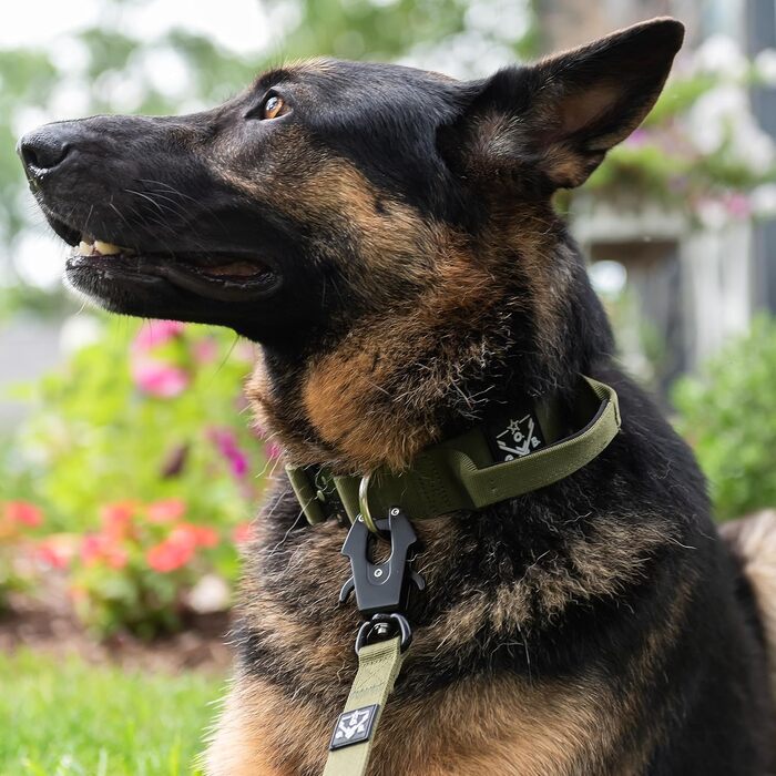 Тактичний повідець Operation Good Boy чорний – міцний та зручний, алюмінієвий карабін 360°, для собак, військова якість