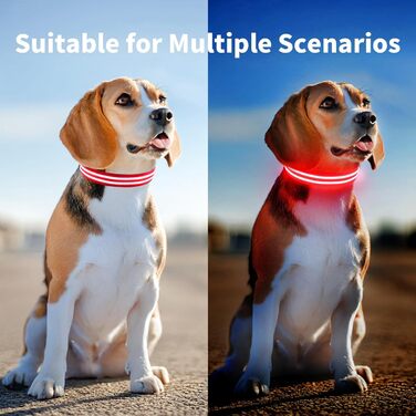 Світлодіодне нашийник для собак Leuchthalsband PcEoTllar, водонепроникний, для малих, середніх та великих собак, 3 режими світіння, зелений (червоний, синій)