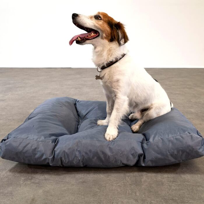 Ліжко для собак Bananair - м'яке та зручне, XXL, 75 x 50 x 10 см, сірий колір, водонепроникний матеріал, легко миється. Підходить для маленьких та великих собак