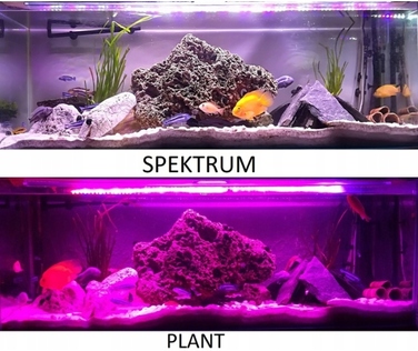 LED-освітлення для акваріума Full Spectrum, 3 кольори, 70 см