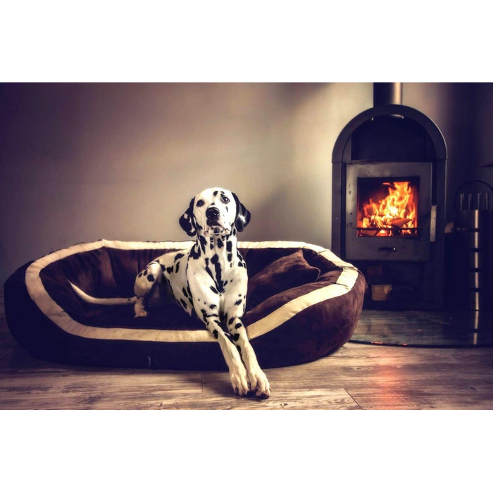 Ортопедичне ліжко для собак Tierlando® Pepper, ліжко-софа для собак, XL, віскоеластична піна, велюр, сірий, 110 см, велике та м'яке, PE4, розмір L +