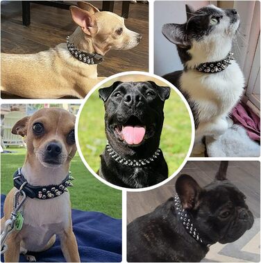 DOGGYZSTYLE нашийник для собак із шкіри з шипами, для котів, цуценят, малих і середніх тварин, чорний, розмір L