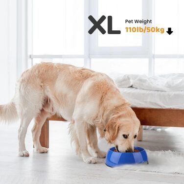 Flexzion миска для собак і котів, нековзна годівниця для корму та води, знімна нержавіюча сталева чаша, для домашніх тварин всіх розмірів, 1200 мл, синя