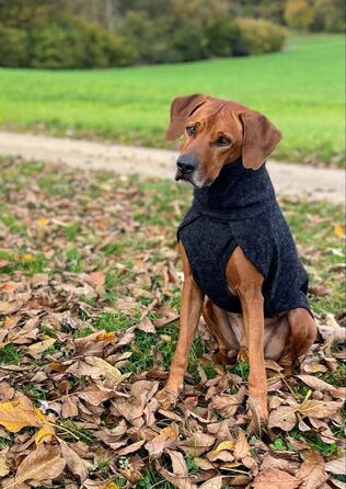 Теплий зимовий одяг для собак EDEL&SCHNELL: вовняна куртка з довгим коміром та світловідбиваючими елементами (65-70 см)