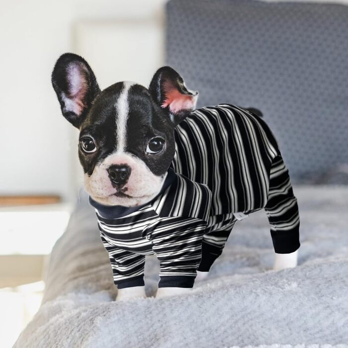 Захисний одяг для собак після операції: повний костюм для собак, що відновлюються (дівчатка, хлопчики), чорний