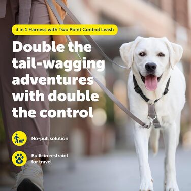 Шлейка PetSafe 3-в-1 з двоточковою контрольною лінією, індивідуальна посадка, зносостійка, обладнання для дресирування, зменшує тягу, дихаюча, чорна, середній розмір (упаковка 1)