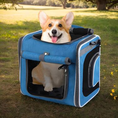 Велосипедний кошик для собак, сумка-рюкзак для транспортування, прогулянки, кемпінг та подорожі