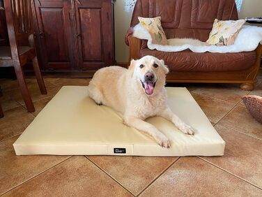 Килимок для собак Tina Grosse - лежанка для собак середнього та малого розміру. Лежанка для собак з еко-шкіри, миється, водонепроникна, м'яка, довговічна, стійка до зношування та розривів (XL, 100x80x8 см, Ecru)