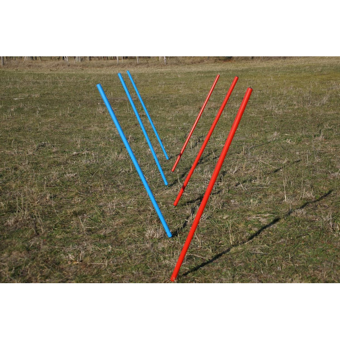 Набір для тренувань Wuzzmann Agility: Slalom з гнучких стержнів (6шт) синій/червоний