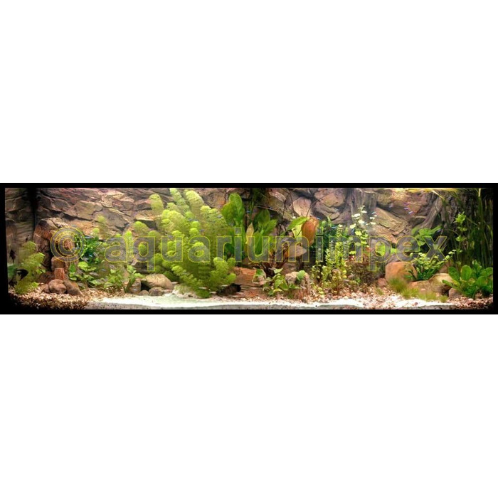 3D фон для акваріума 150x50 см, скеля з коренем, 2 частини