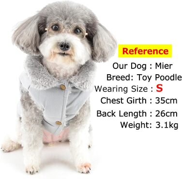 Зуена Тепла куртка для собак маленьких порід, флісова підкладка, для цуценят, зимовий одяг з кільцем для повідка, захист від холоду, жилетка, куртка, антель, Чихуахуа, іграшки для собак, Пудель, Зелений, розмір XL