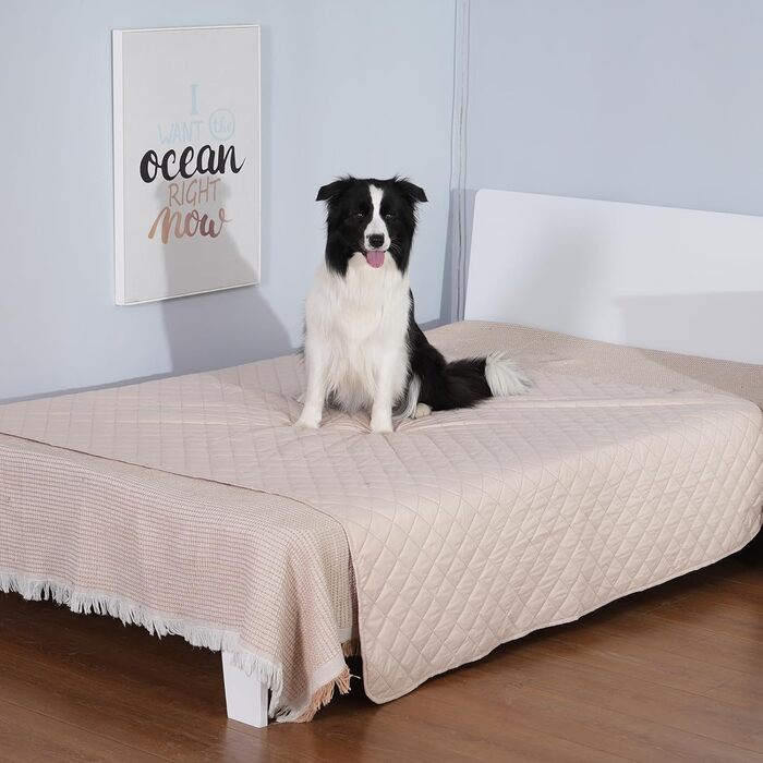 Водонепроникний килимок для собак на диван, ліжко та в авто - котячий килимок, захист дивану/ліжка від подряпин, двосторонній, миючий, ідеальний для великих/маленьких собак (Рожевий, 203x152 см)