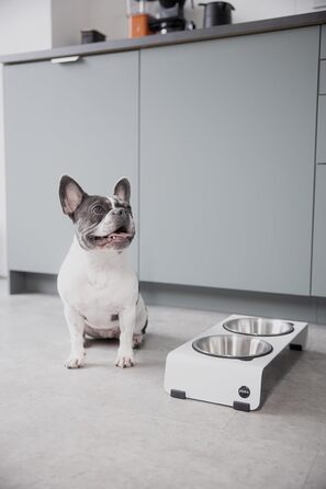 Підвищена годівниця для собак Jaska ARC з нержавіючої сталі та сталі (білий, S)
