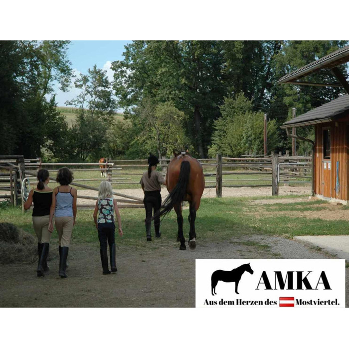 AMKA Попона для коня водонепроникна 600D дихаюча, для вулиці