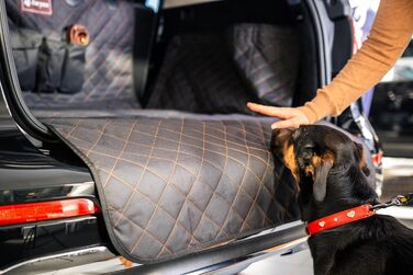 Захист для багажника з захистом краю вантажного отвору foryou® + килимок для собак - універсальний захист багажника для собак, водовідштовхувальний, стійкий до подряпин, преміум якість, Made in Germany