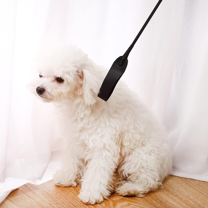 Крійська батогом FIYSON для верхової їзди, стрибків та перегонів, з PU-шкіри та справжньої шкіри, для щоденних тренувань