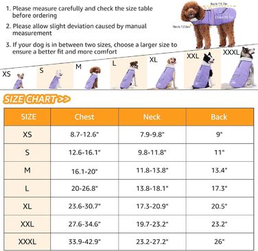 iBuddy Зимовий теплий водонепроникний теплий жилет для собак, жилет для собак, для великих собак, дівчаток, хлопчиків (фіолетовий, середній)