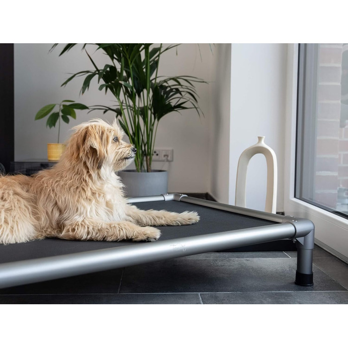 TrendPet HighBed: підняне ліжко для собак з алюмінію (105x80 см), преміум-якість
