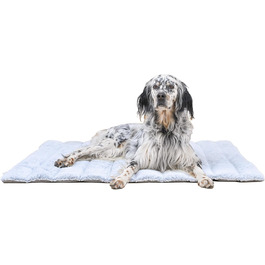 колір: сірий