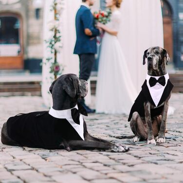 Смокінг для собак середнього та великого розміру, костюм, набір для косплею та свят, елегантний одяг для собак з краваткою та нашийником (Чорний, M: Обхват грудей 42-53 см)