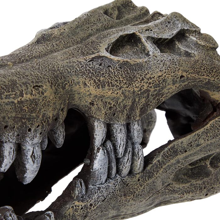 Декорація для акваріума Blue Ribbon Rosewood Череп людини, реалістичний, 120 мл