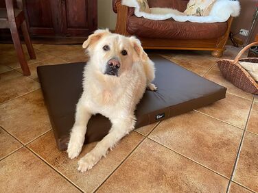 Килимок для собак Tina Grosse: великий, середній та маленький - м'яке ліжко для собак з еко-шкіри. Легко миється, водонепроникний, м'який, довговічний, стійкий до зношування та розривів (XL, 100x80x8 см, Коричневий)