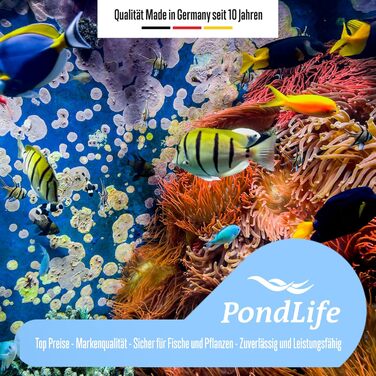 Акваріум зі скла для риб і черепах Pondlife 30×20×20 см, для прісної та солоної води, тераріум