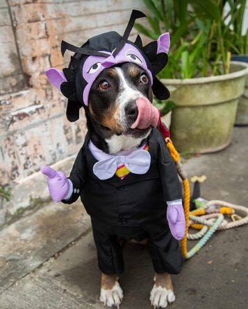 Костюм вампіра для собак Pet Krewe The Count | Сезам вулиця, костюми для собак та котів | S, M, L, XL