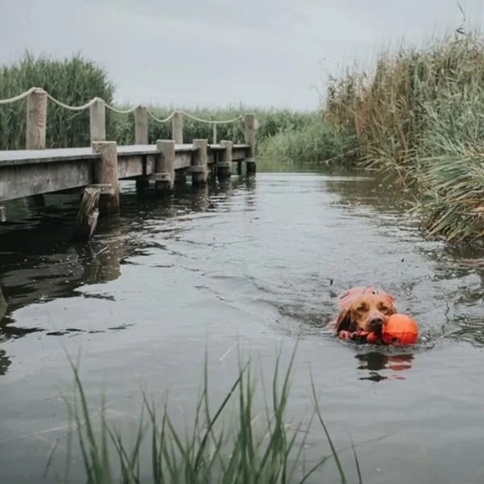 Жилет Hunter, сірий, розмір S