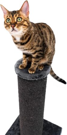 Дряпак для великих котів Petrebels Savannah, 86 см, стовп Ø20 см, чорний, високоякісний килимок для кігтів