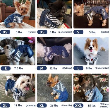 Джинсовий комбінезон із капюшоном для собак і котів DOGGYZSTYLE, смугастий, синій, для малих і середніх порід