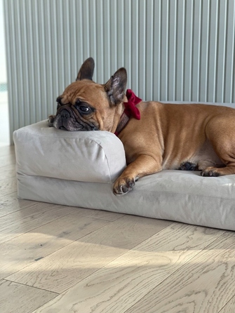 Лежак для собак Montclair